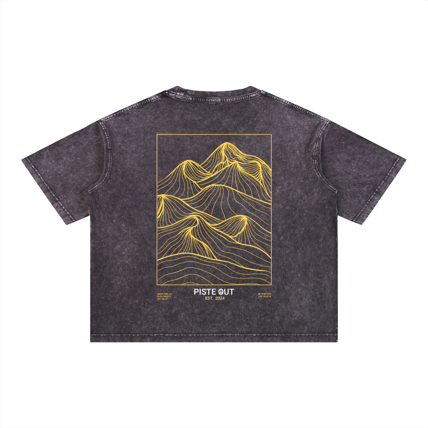 Backcountry Veins heavyweight boxy tee in Dark Gray with gold mountain linework back graphic