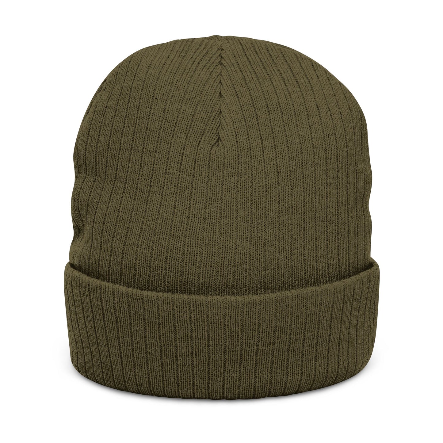 Back of olive green ribbed beanie, no visible logo