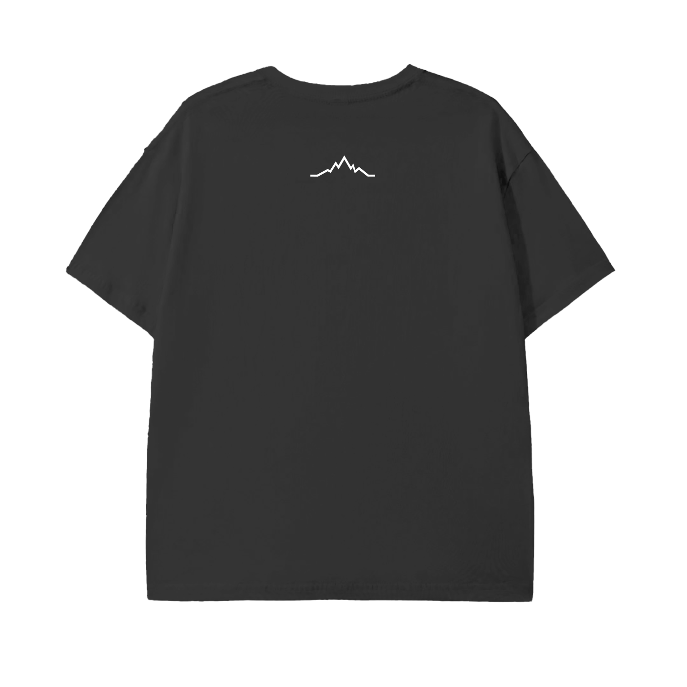 Back view of Piste Out Logo Tee in Black Diamond color, solid black cotton fabric with regular fit and soft texture.