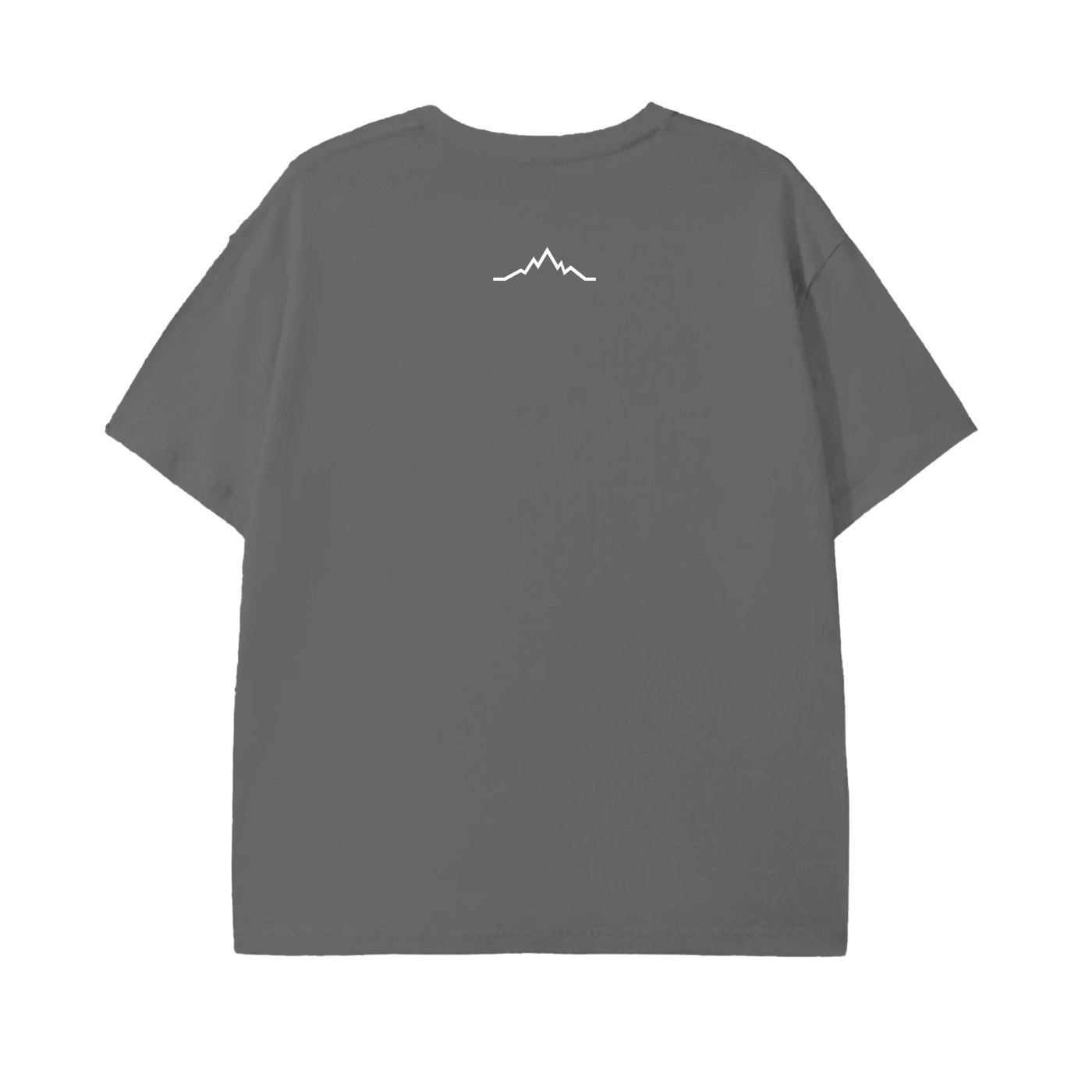 Back view of Piste Out Logo Tee in Charcoal Gray color, clean minimalist design on smooth gray cotton fabric.