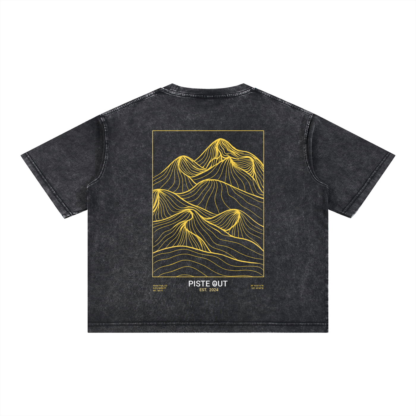 Backcountry Veins heavyweight boxy tee in Black Diamond with gold mountain linework back graphic